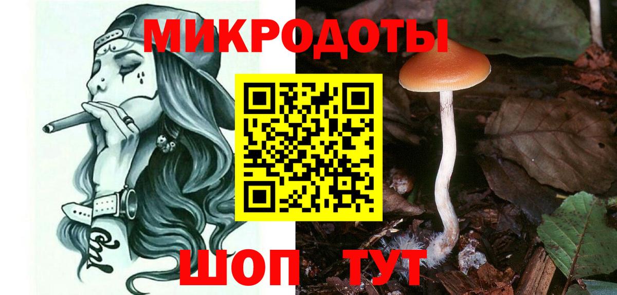 Псилоцибиновые грибы Psilocybe Семёнов